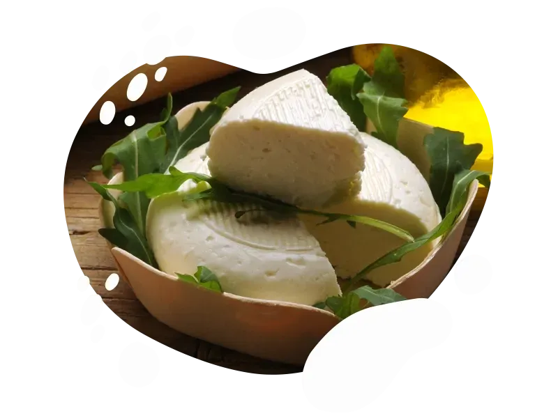 fromage au lait de chèvre