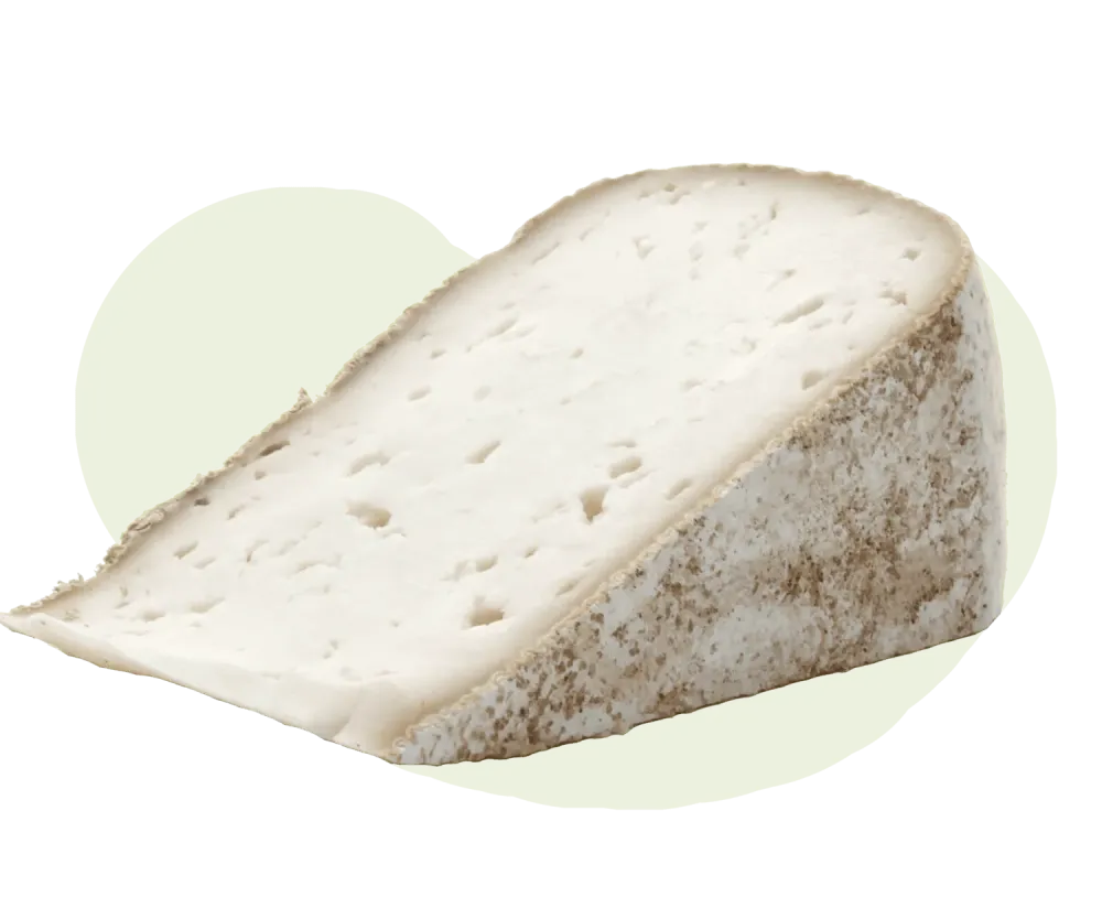 Tomme de chèvre